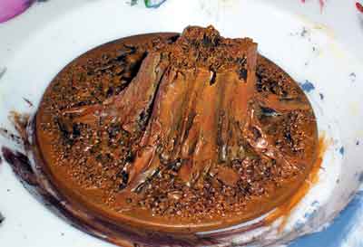 Stem from a Pumpkin to make a tree stump 8