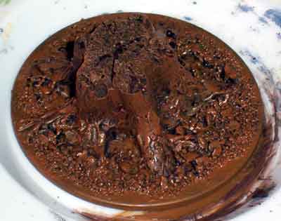 Stem from a Pumpkin to make a tree stump 6